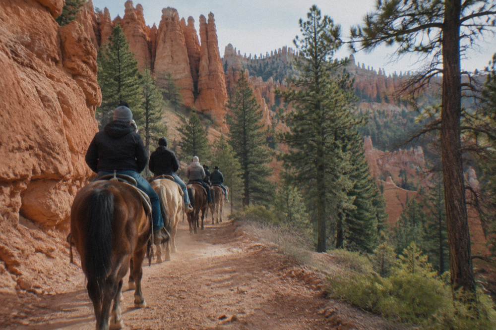 A guided line of riders on horseback crossing a red rock trail through pines