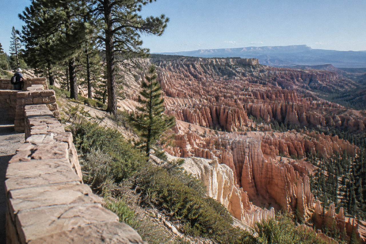 Sunlit hoodoos of the Bryce Amphitheater below a pine-dotted rim