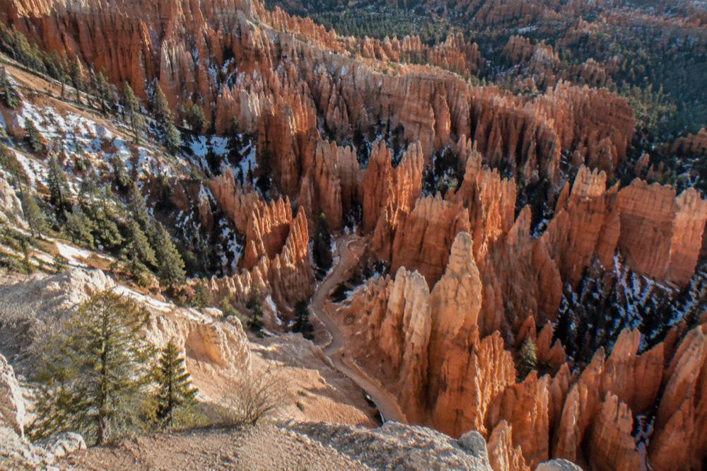 Aerial view of dense red hoodoo spires filling a canyon basin