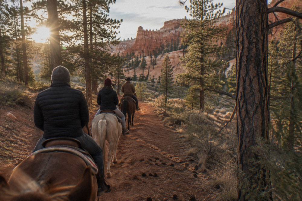 Riders on horseback following a guide along a red dirt trail between pine trees