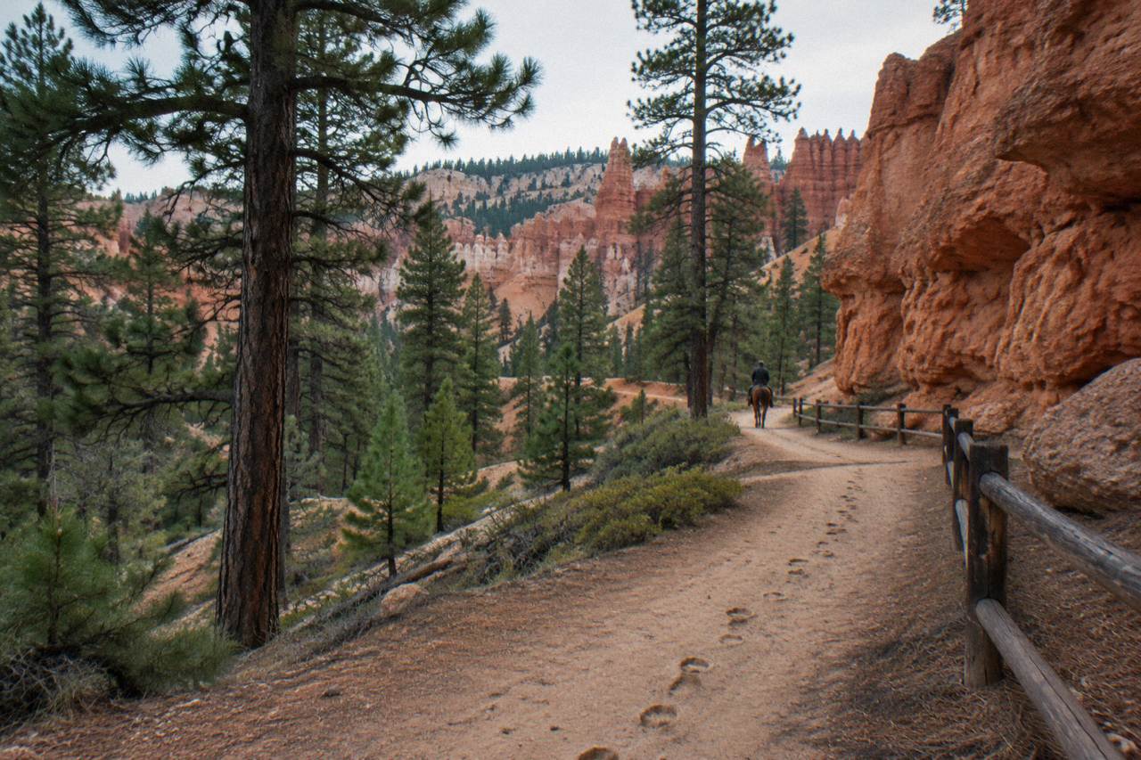 Red rock cliffs and pine forest along a riding trail near Bryce Canyon