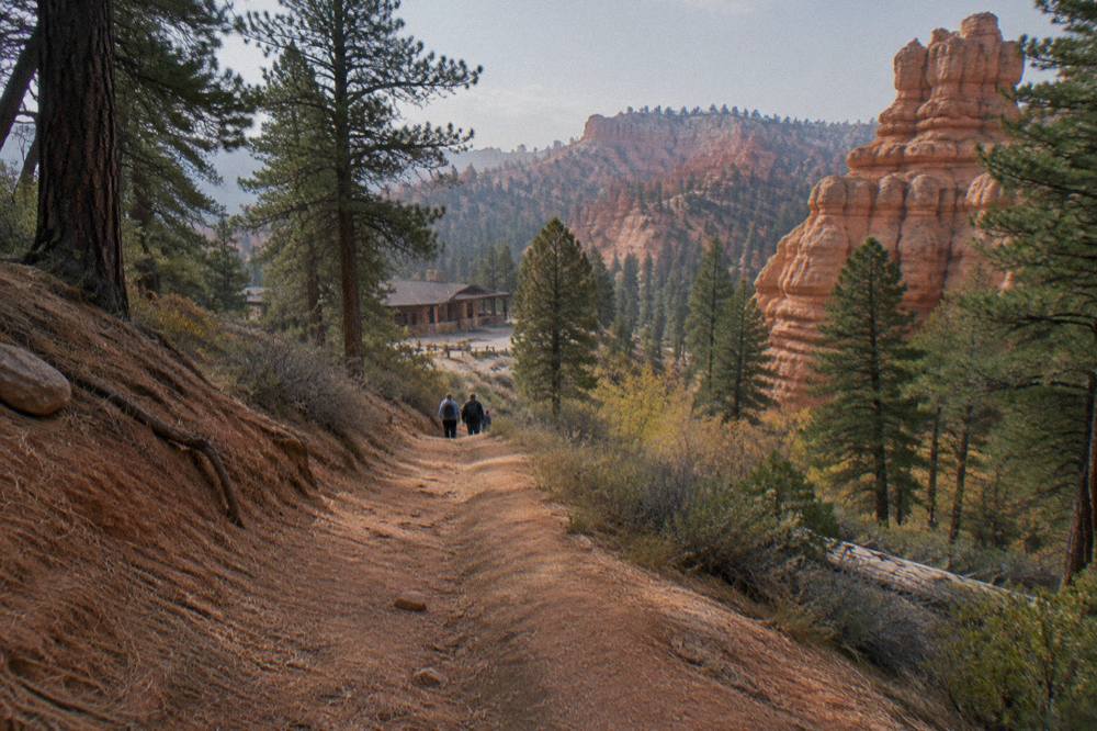 A red dirt off-road trail winding through ponderosa pines and red rock formations near Bryce Canyon