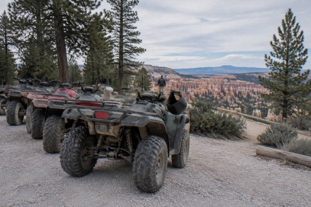 A row of parked ATVs on gravel beside a forest trailhead under a clear sky