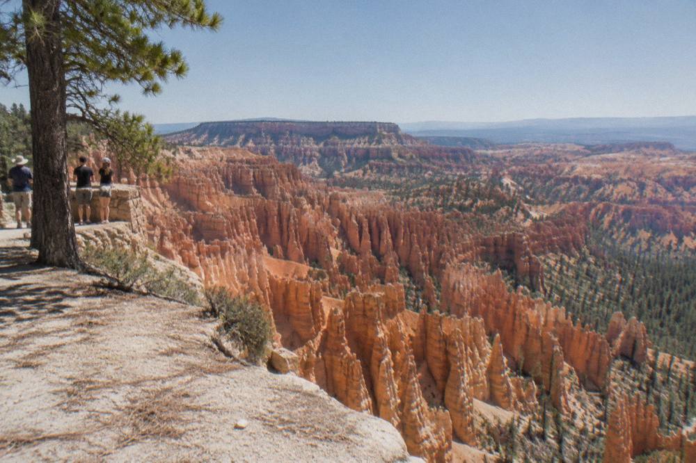 Rows of pale orange rock spires descending into a wide natural amphitheater under a clear sky