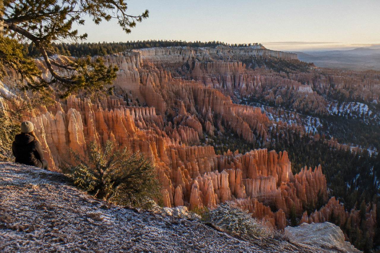 Dawn light on tall orange rock hoodoos below a pine-covered rim in Bryce Canyon