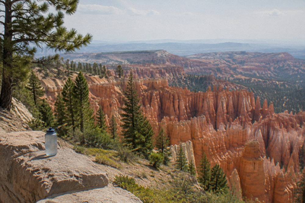 Rows of tall orange and red rock spires filling a natural amphitheater below a pine rim