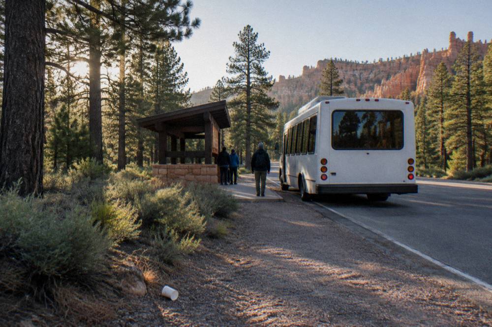 A shuttle bus at a wooded stop beside a park road in morning light