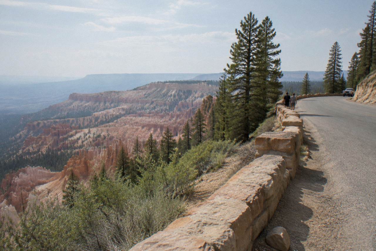 Winding park road along a pine-covered rim above red rock hoodoo formations