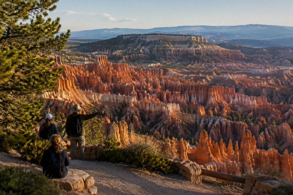 Afternoon sun on layered hoodoo walls seen from a guided tour overlook stop