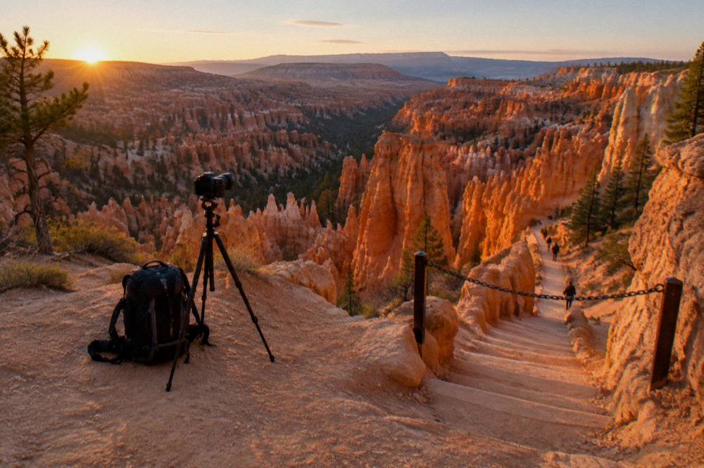 Warm dawn glow across rows of hoodoo spires photographed from the rim
