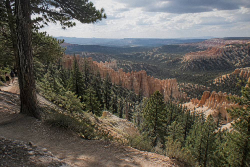 Red rock hoodoos rising above pine forest along a paved overlook path at Bryce Canyon