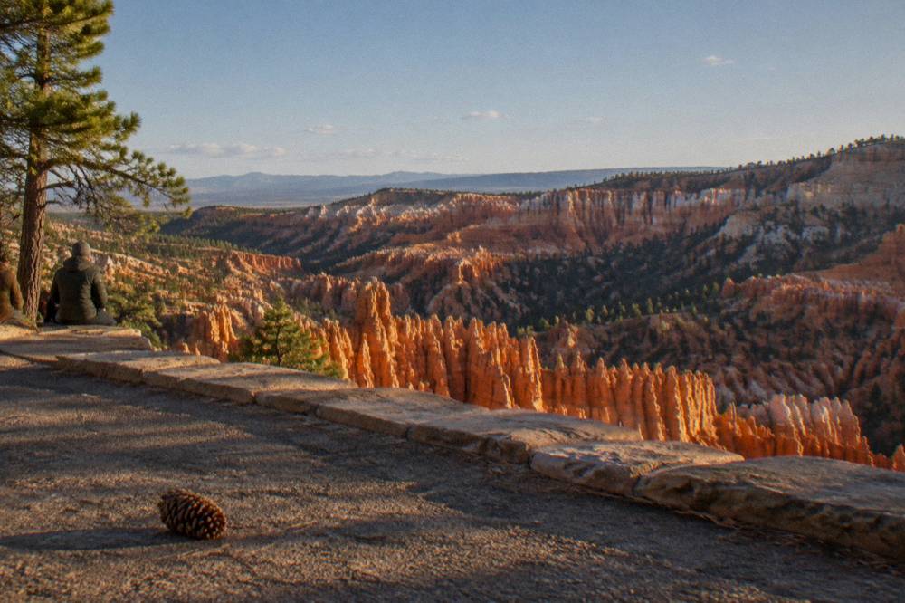 Hoodoo rock columns in warm afternoon light seen from an overlook