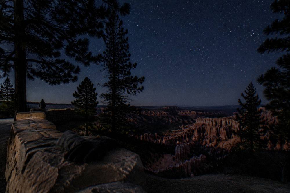 Night sky filled with stars above dark silhouetted pines near Bryce Canyon