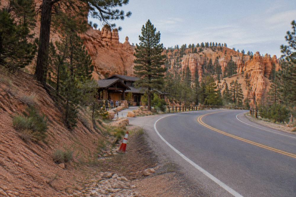 A winding two-lane road through red rock cliffs and ponderosa pines in southern Utah