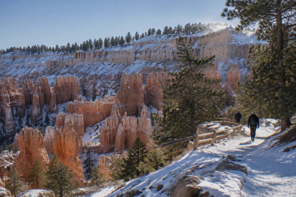 Hoodoo rock spires standing in an amphitheater below a pine covered rim