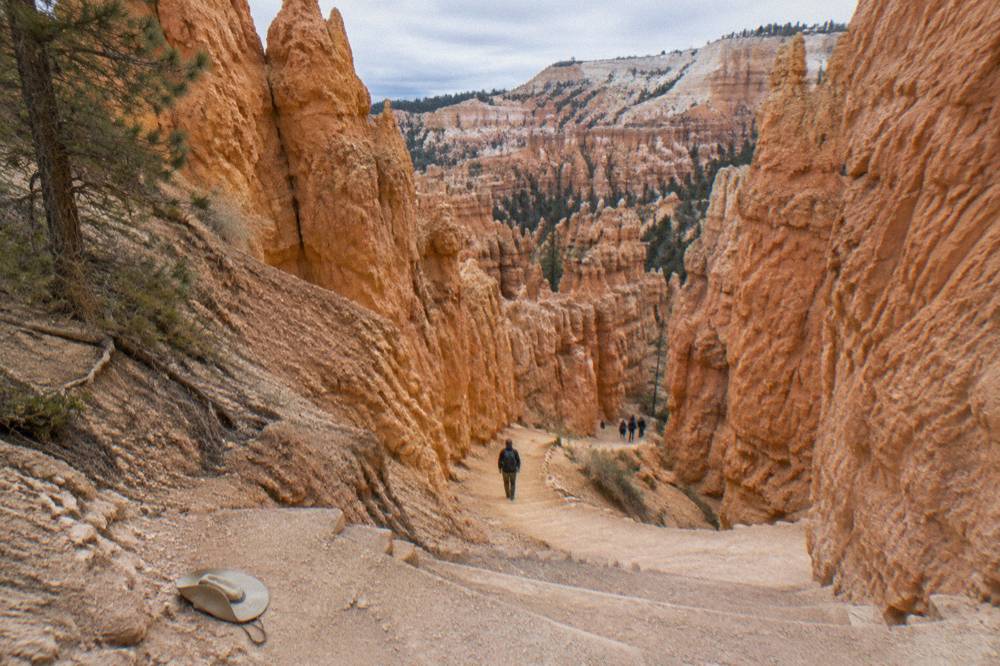 A winding trail descending between tall orange rock formations
