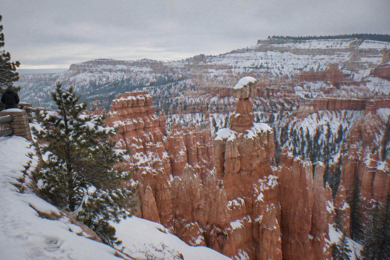 Snow-dusted red hoodoos below a pale winter sky at Bryce Amphitheater