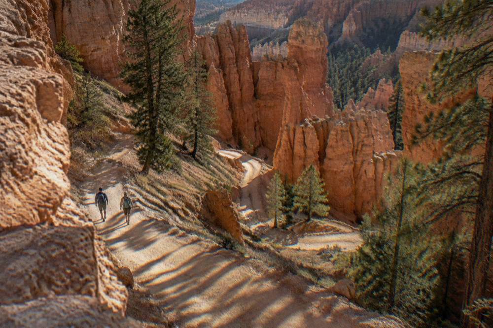 A winding trail descending among tall red rock hoodoos below the rim