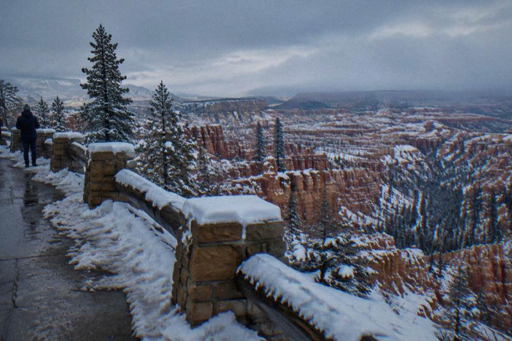 Snow dusted red hoodoos along the canyon rim in cold season light