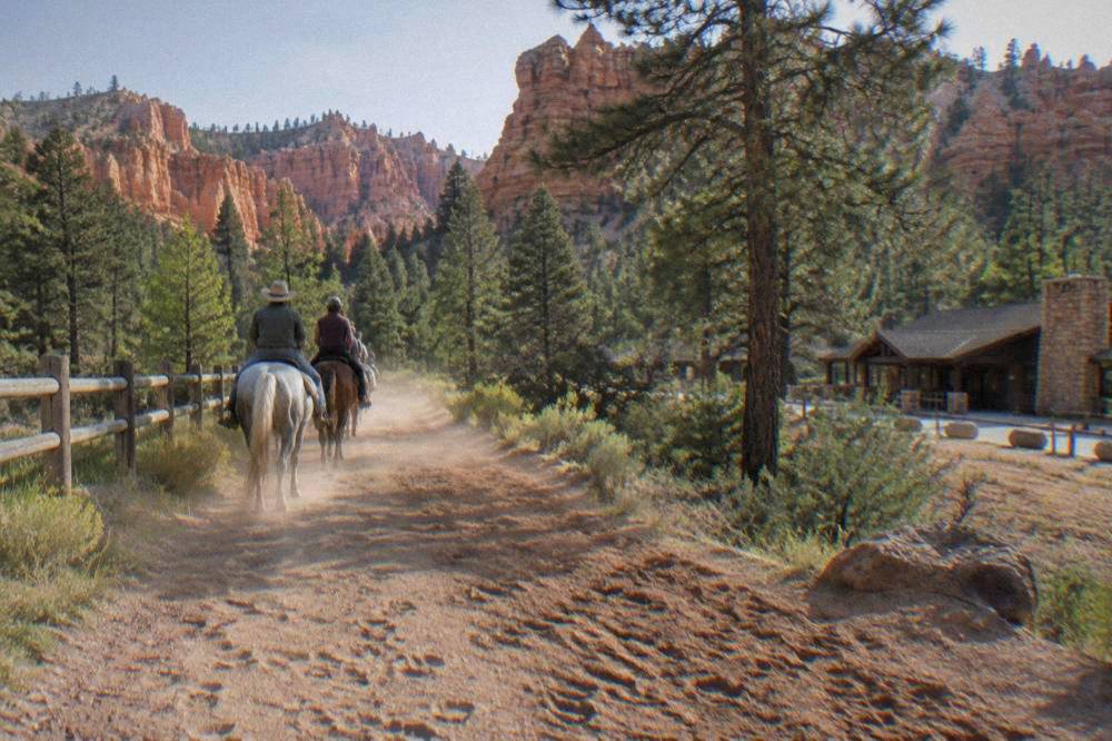 Red rock cliffs and pine forest along a riding trail in Red Canyon
