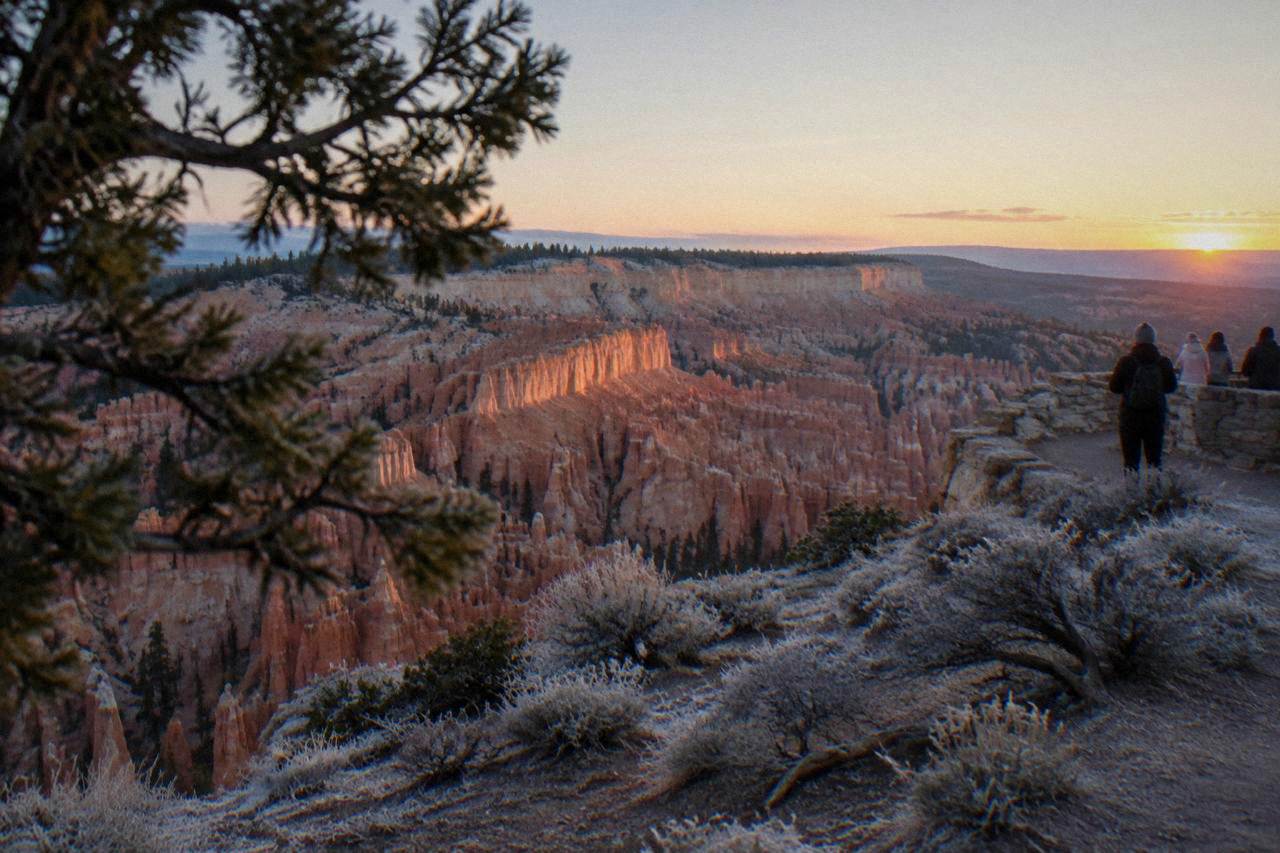 Hoodoos of the Bryce Amphitheater rising below a pine-covered rim at dawn