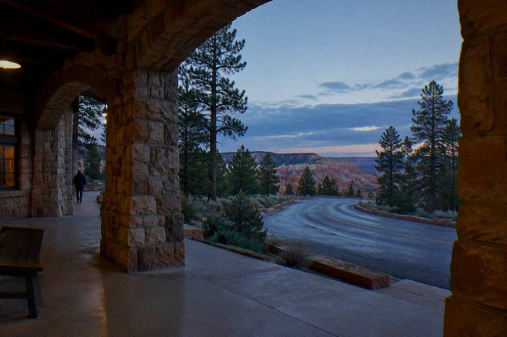 Empty scenic drive curving through pine forest toward a canyon overlook