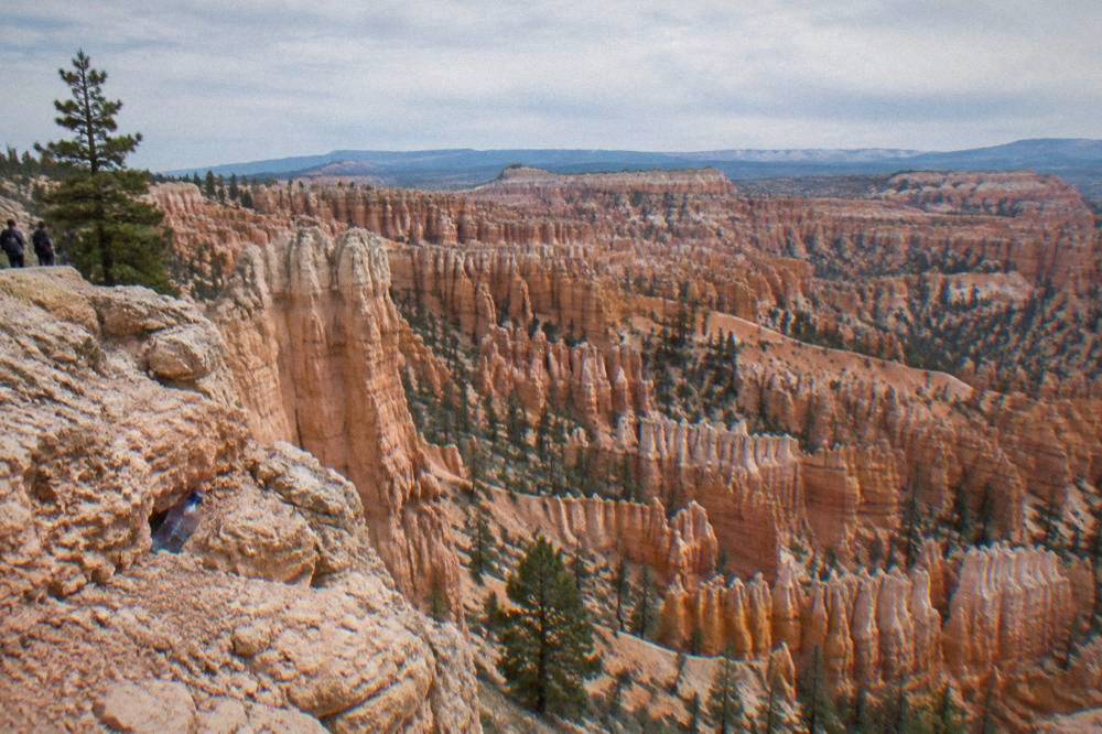 Hoodoos of the Bryce Amphitheater seen from a rim viewpoint