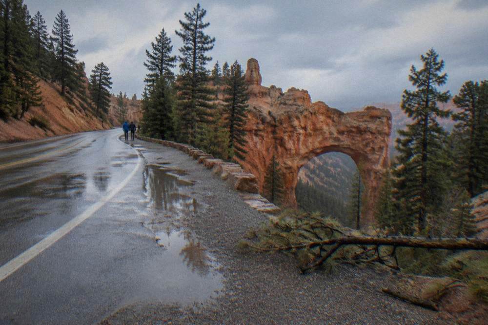 Winding scenic highway between red rock formations in southern Utah