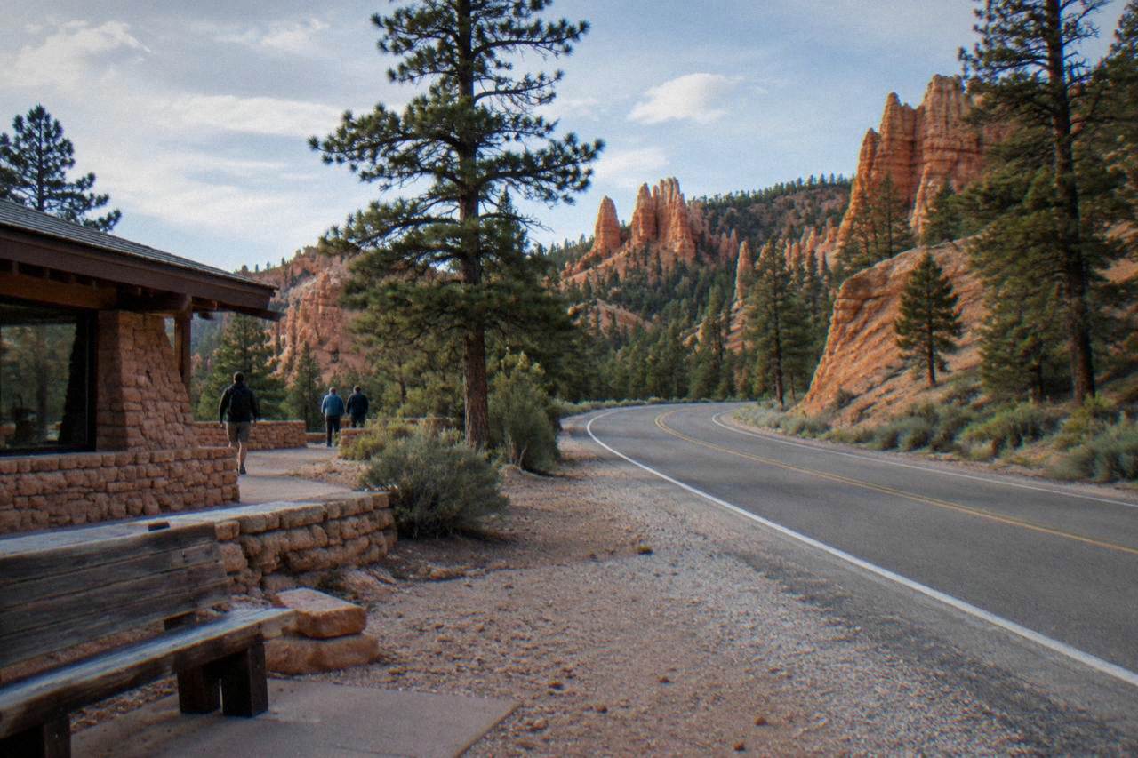 Red rock cliffs and pine forest along the highway between Zion and Bryce Canyon