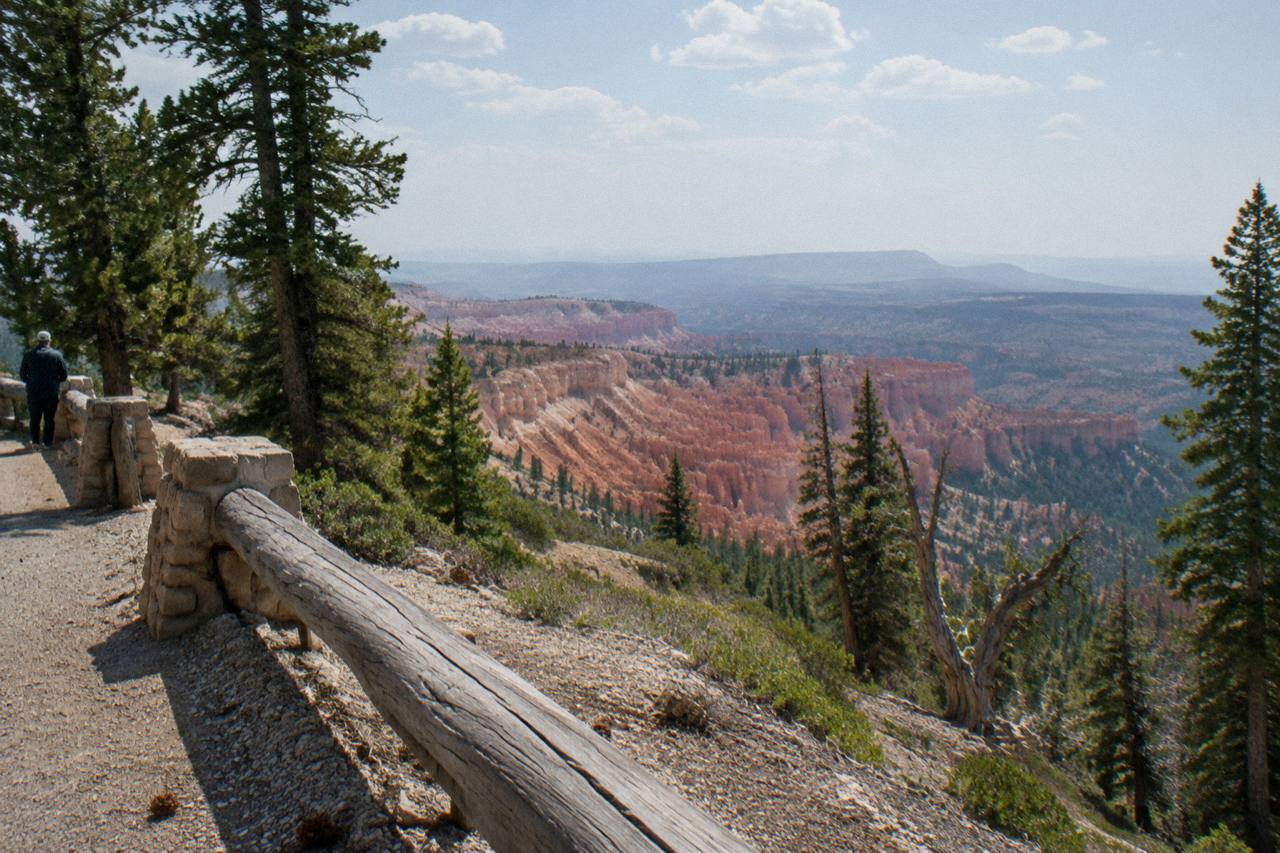 Wide view from Rainbow Point, the highest rim of Bryce Canyon National Park, Utah, fir and bristlecone forest at the overlook, layered pink cliffs falling away under midday haze, worn gravel and pine cones at the rail
